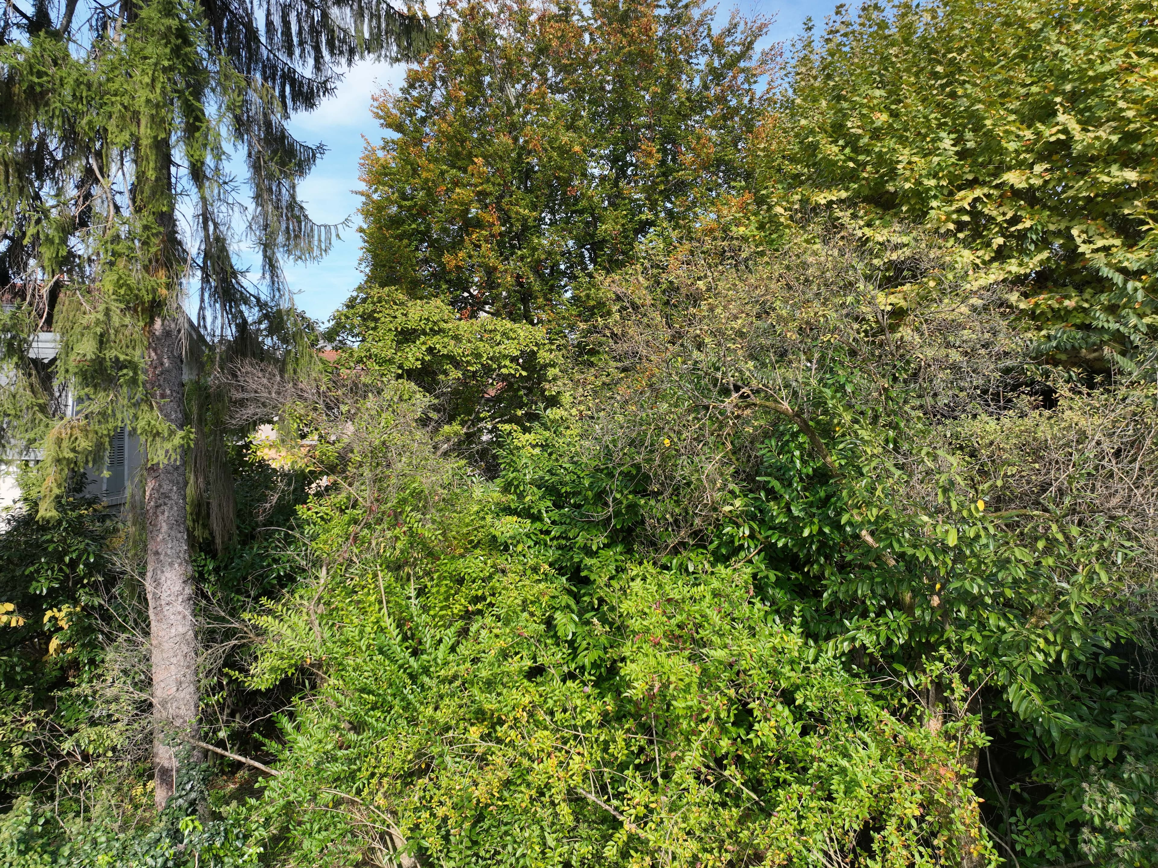 Villa Thermale